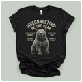 Disconnecting Be The Bear