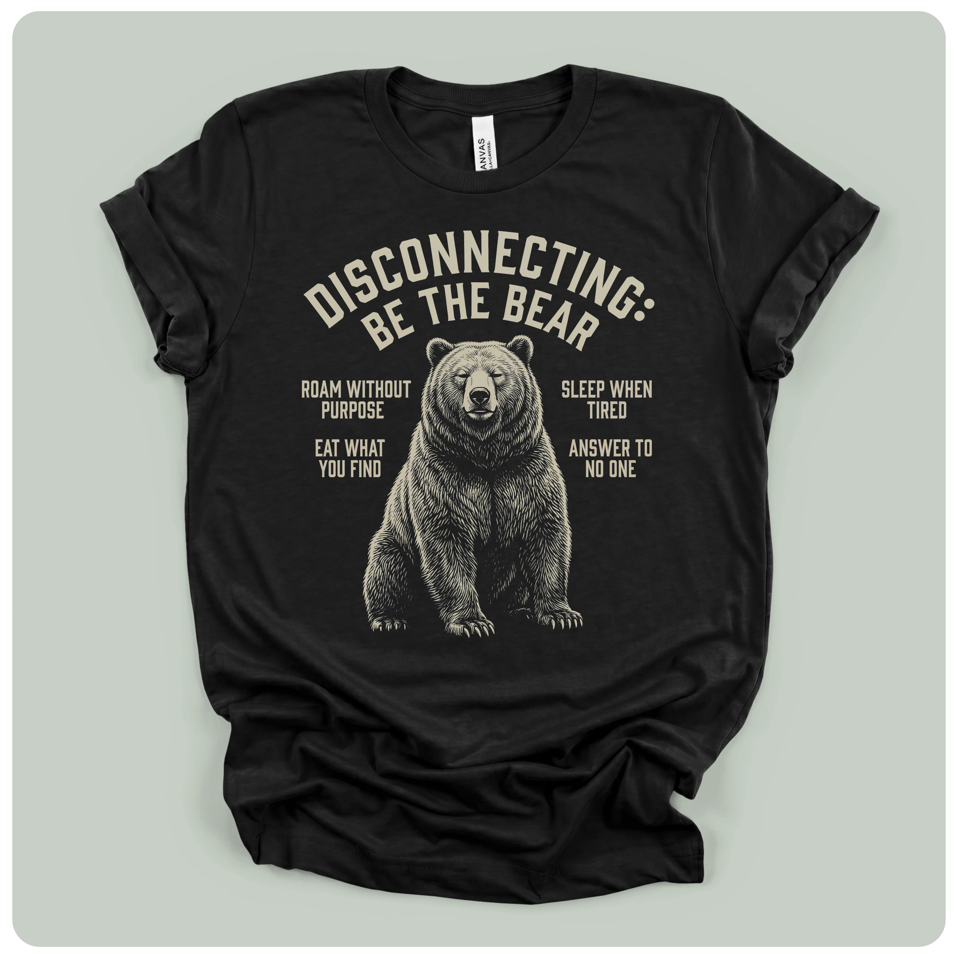 Disconnecting Be The Bear