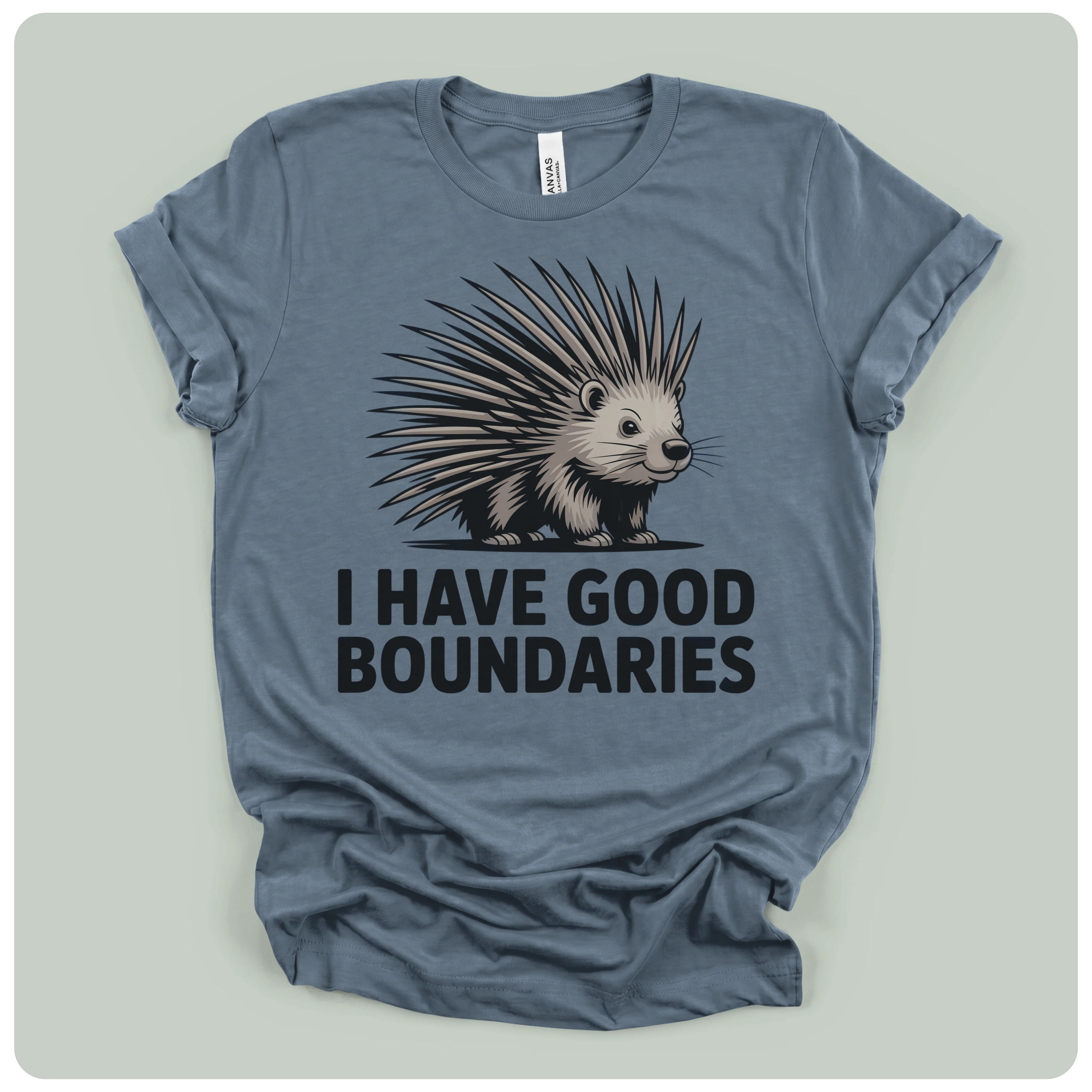 I Have Good Boundaries