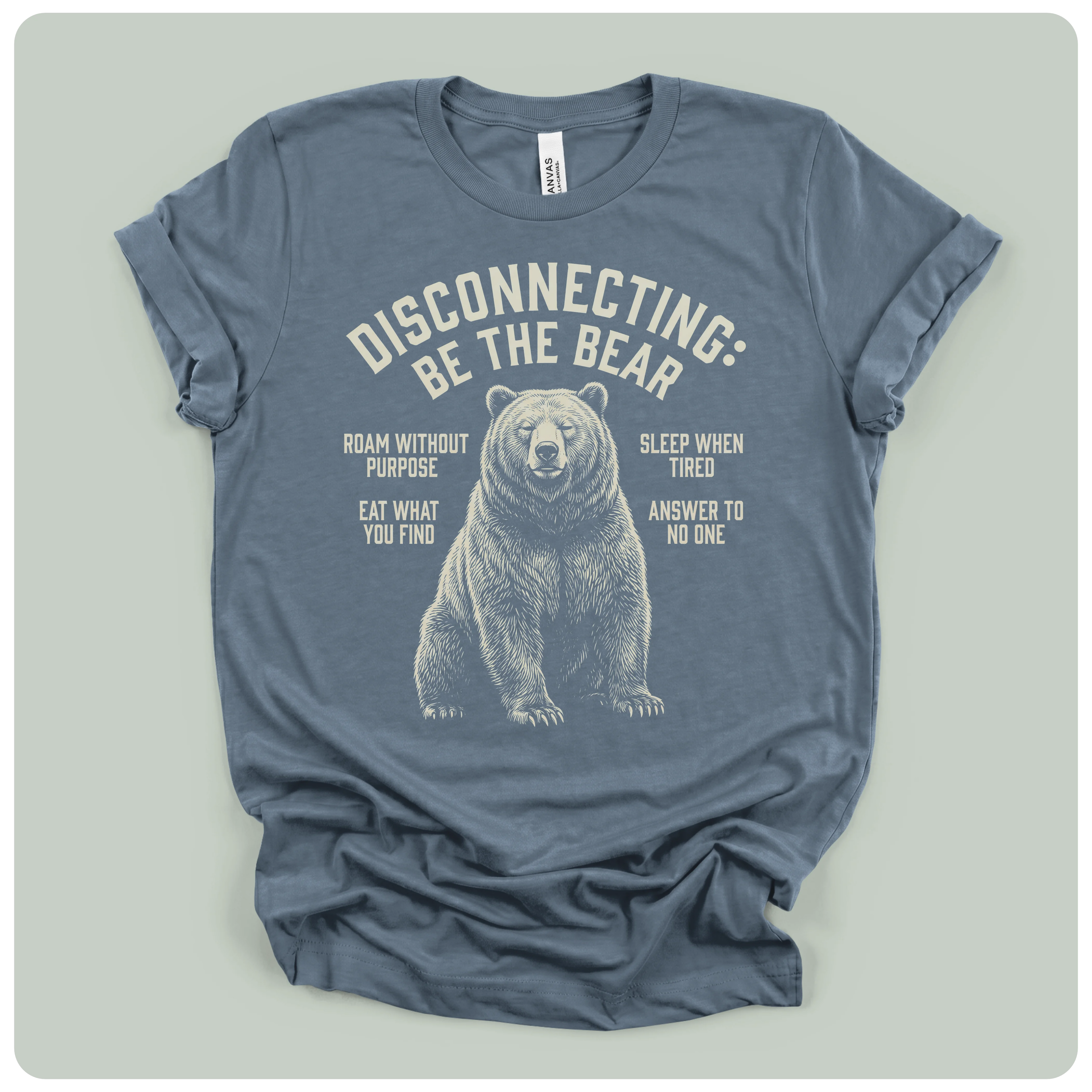 Disconnecting Be The Bear
