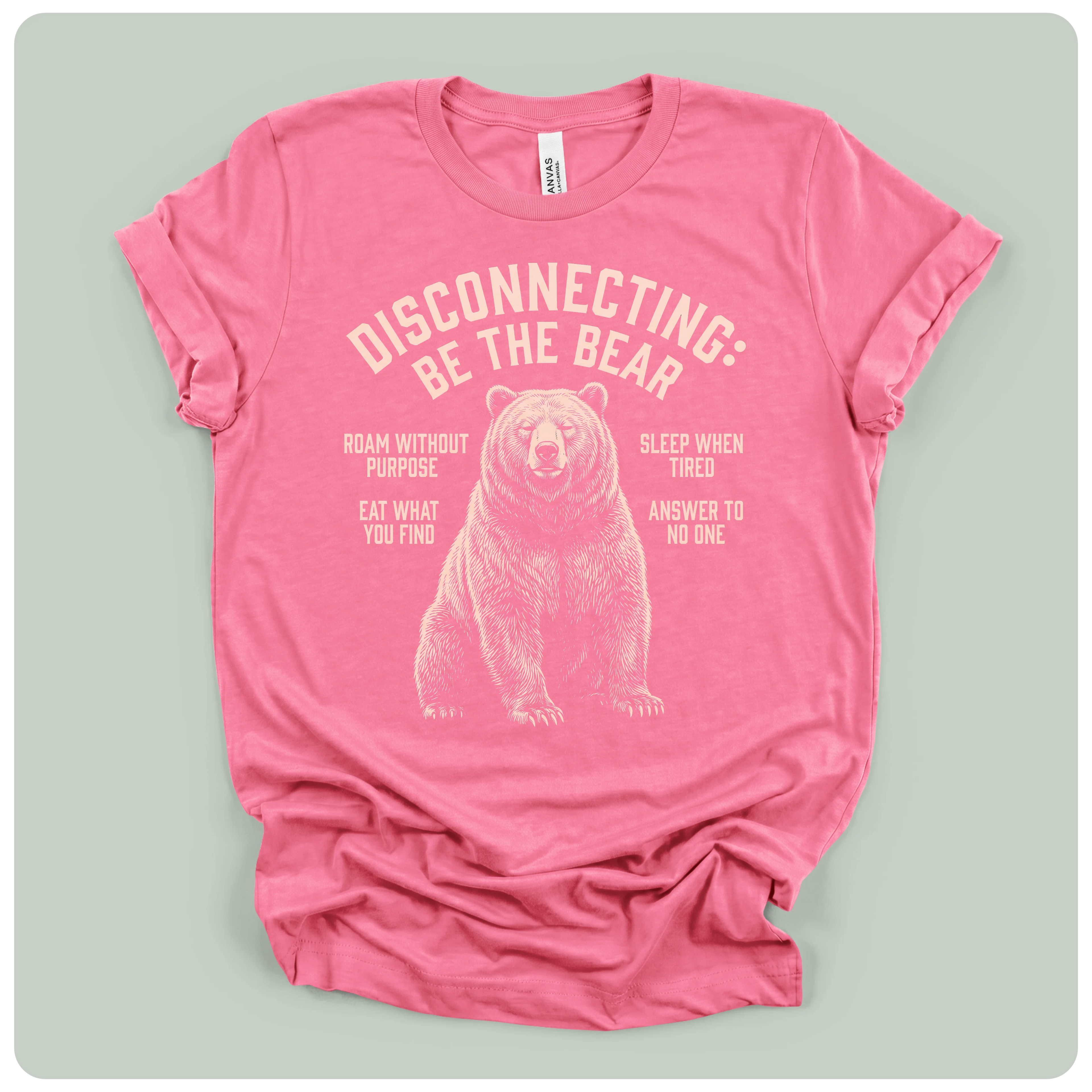 Disconnecting Be The Bear