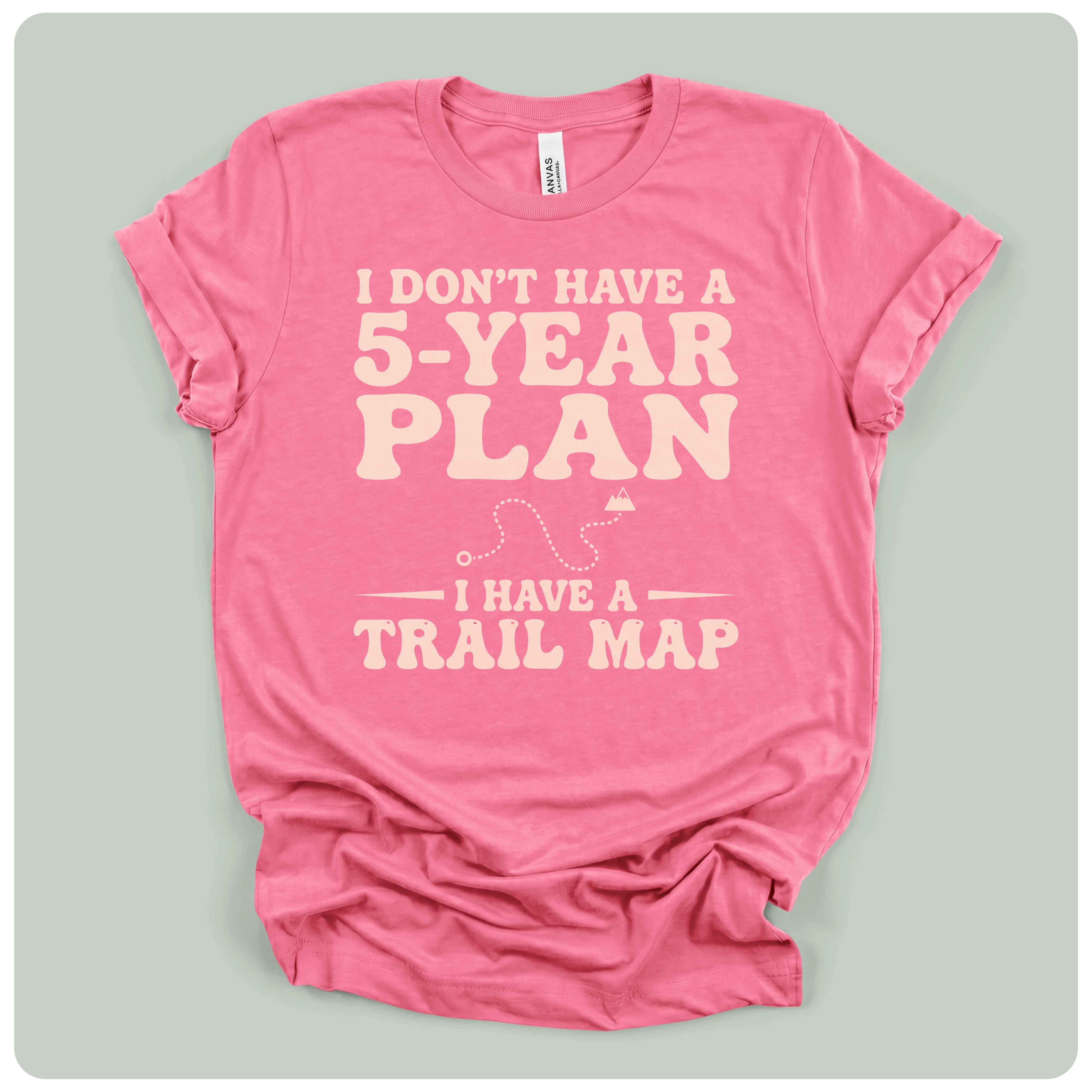 5 Year Plan