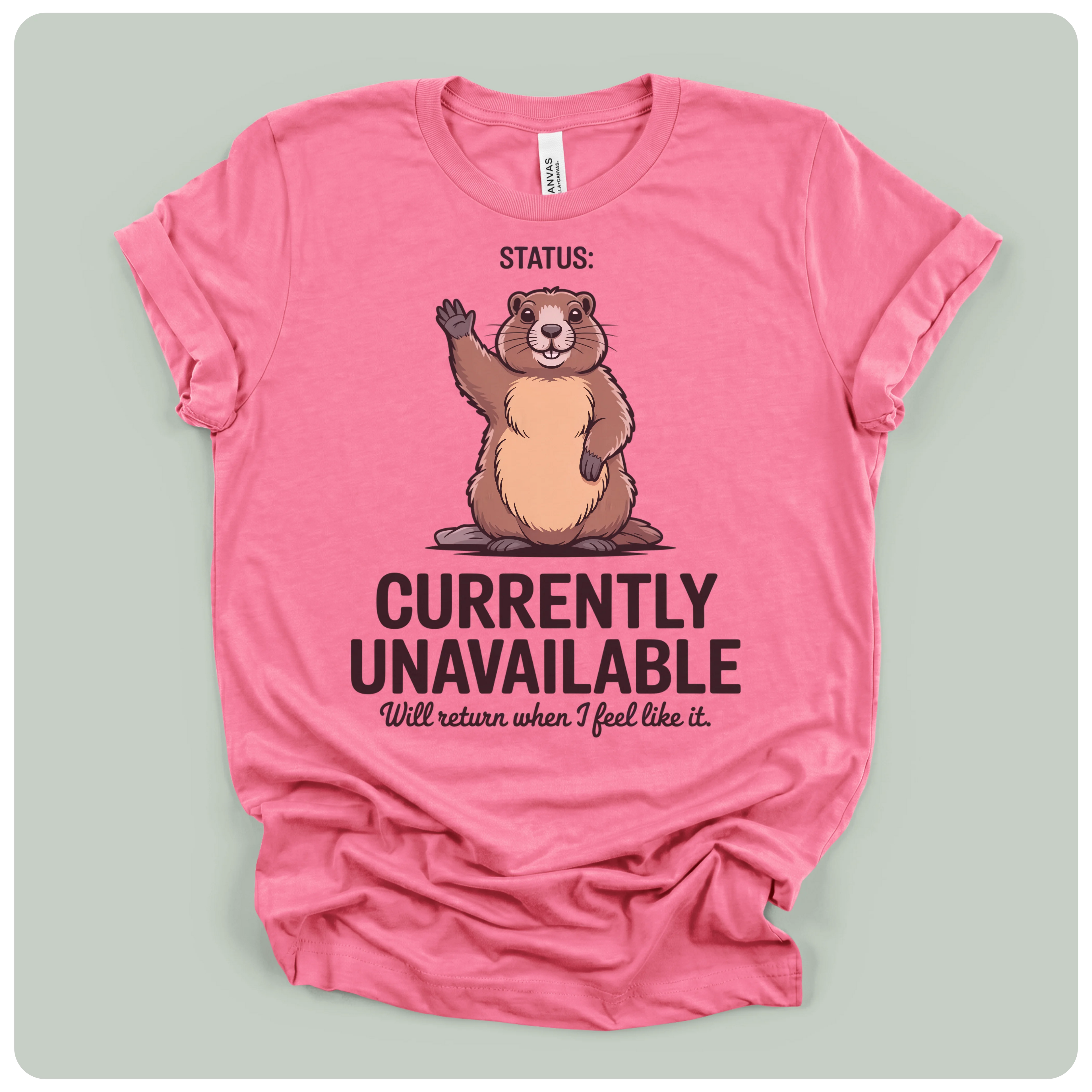 Currently Unavailable