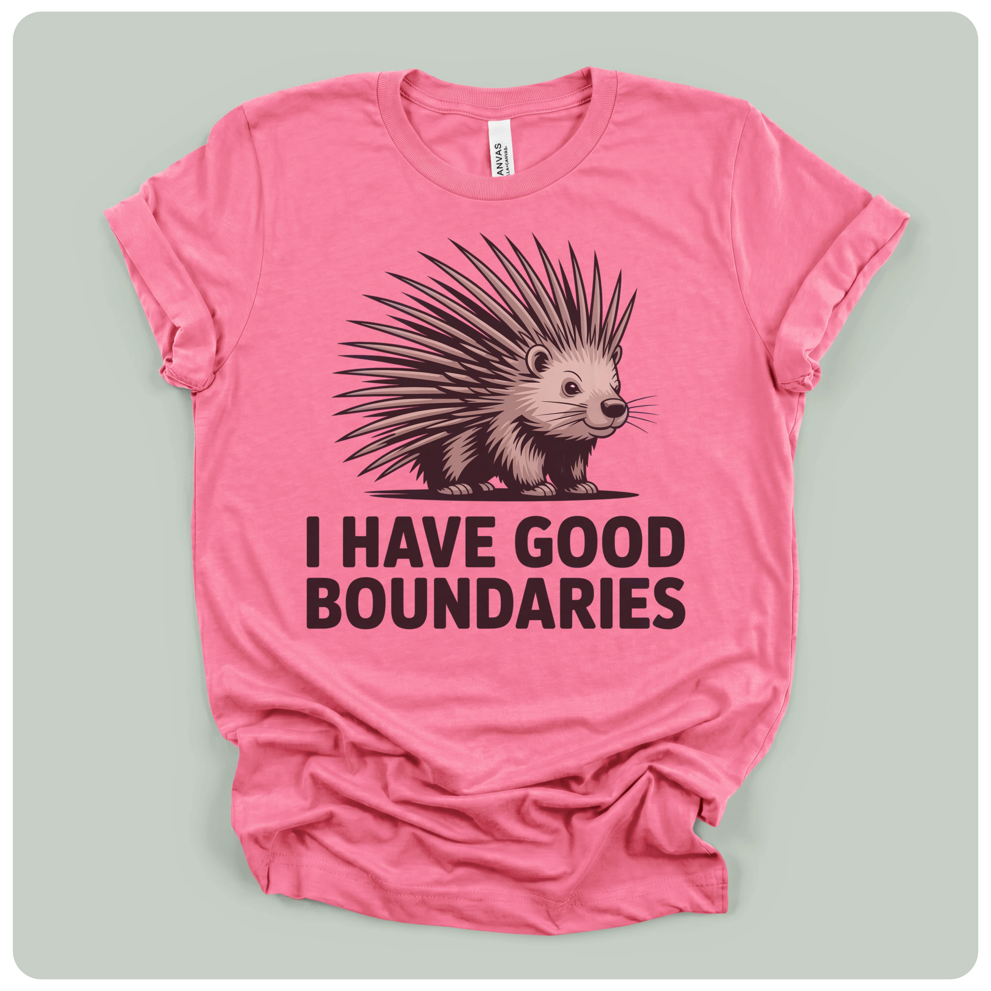 I Have Good Boundaries
