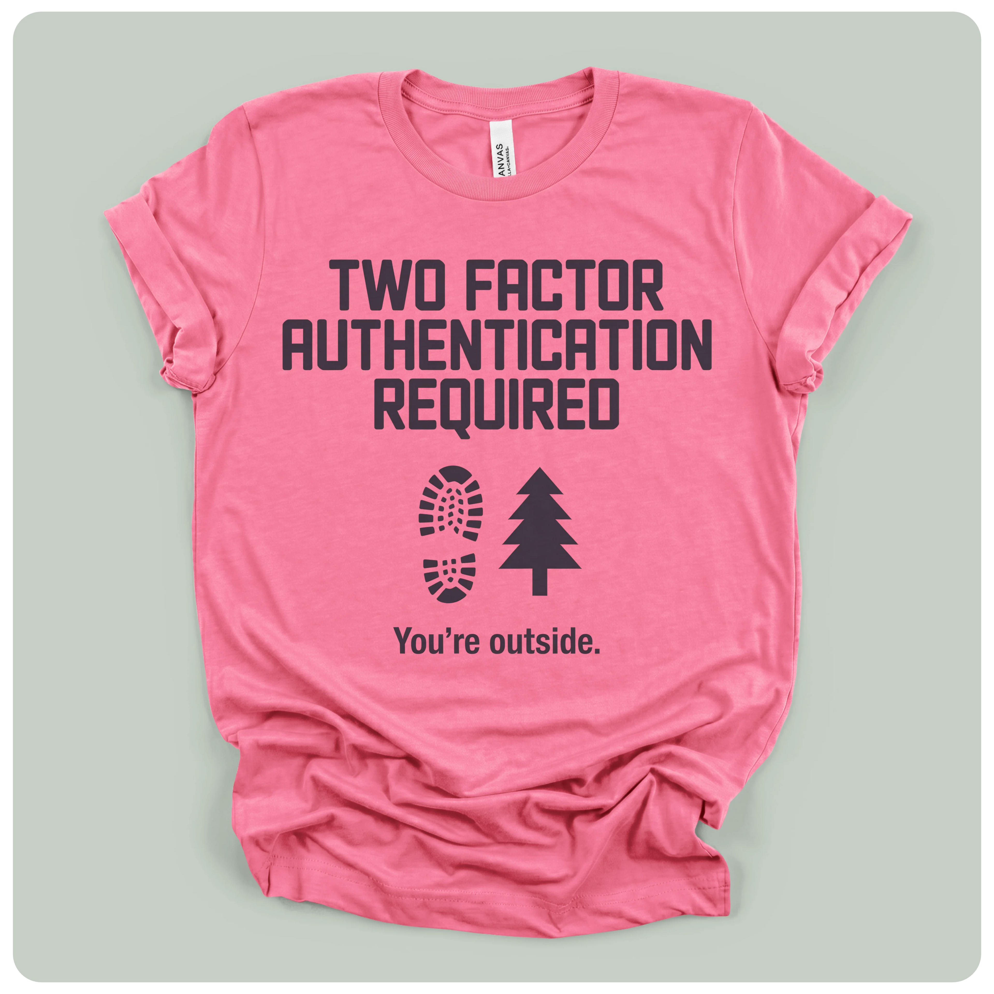 Two Factor Authentication Required