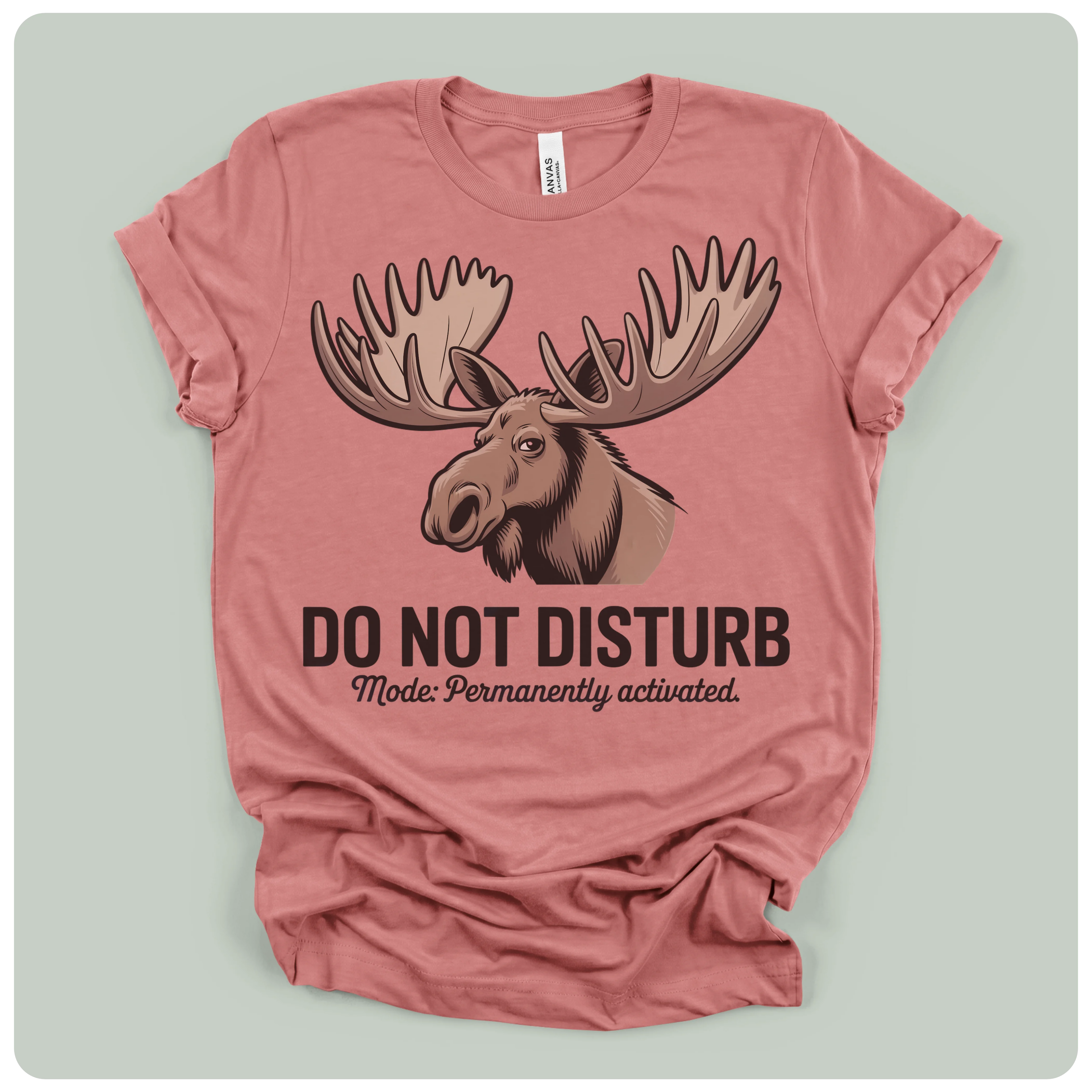 Do Not Disturb