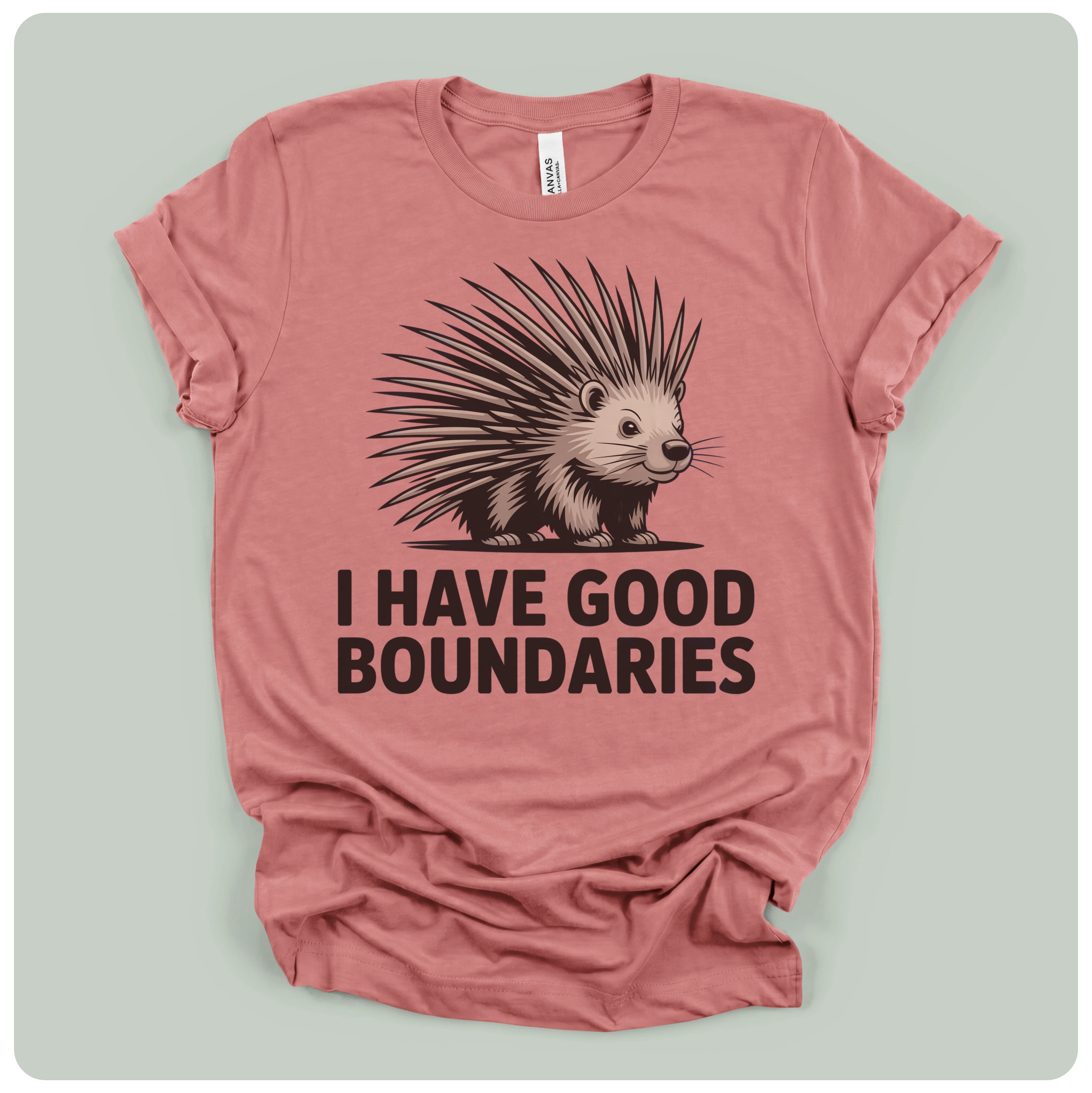 I Have Good Boundaries