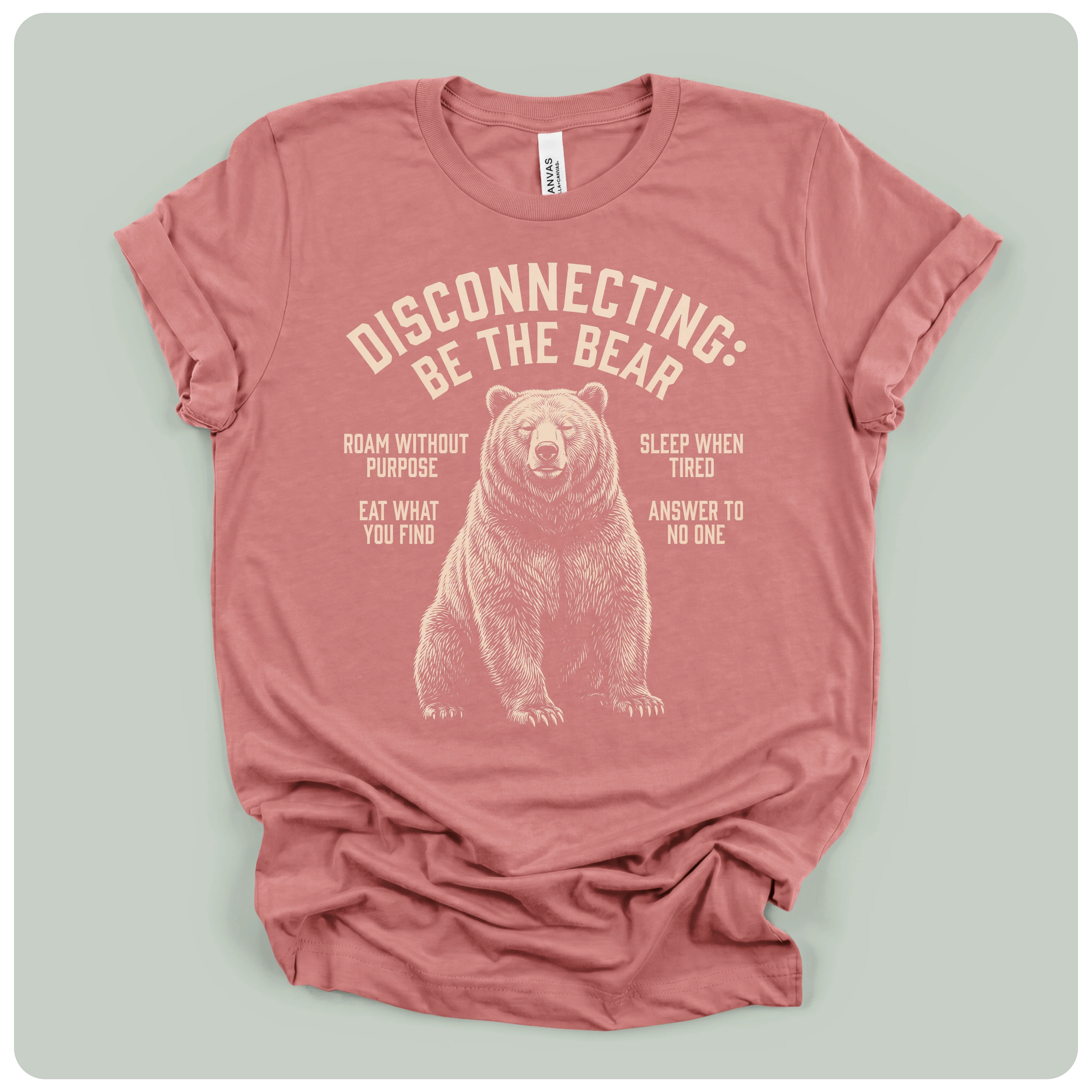Disconnecting Be The Bear