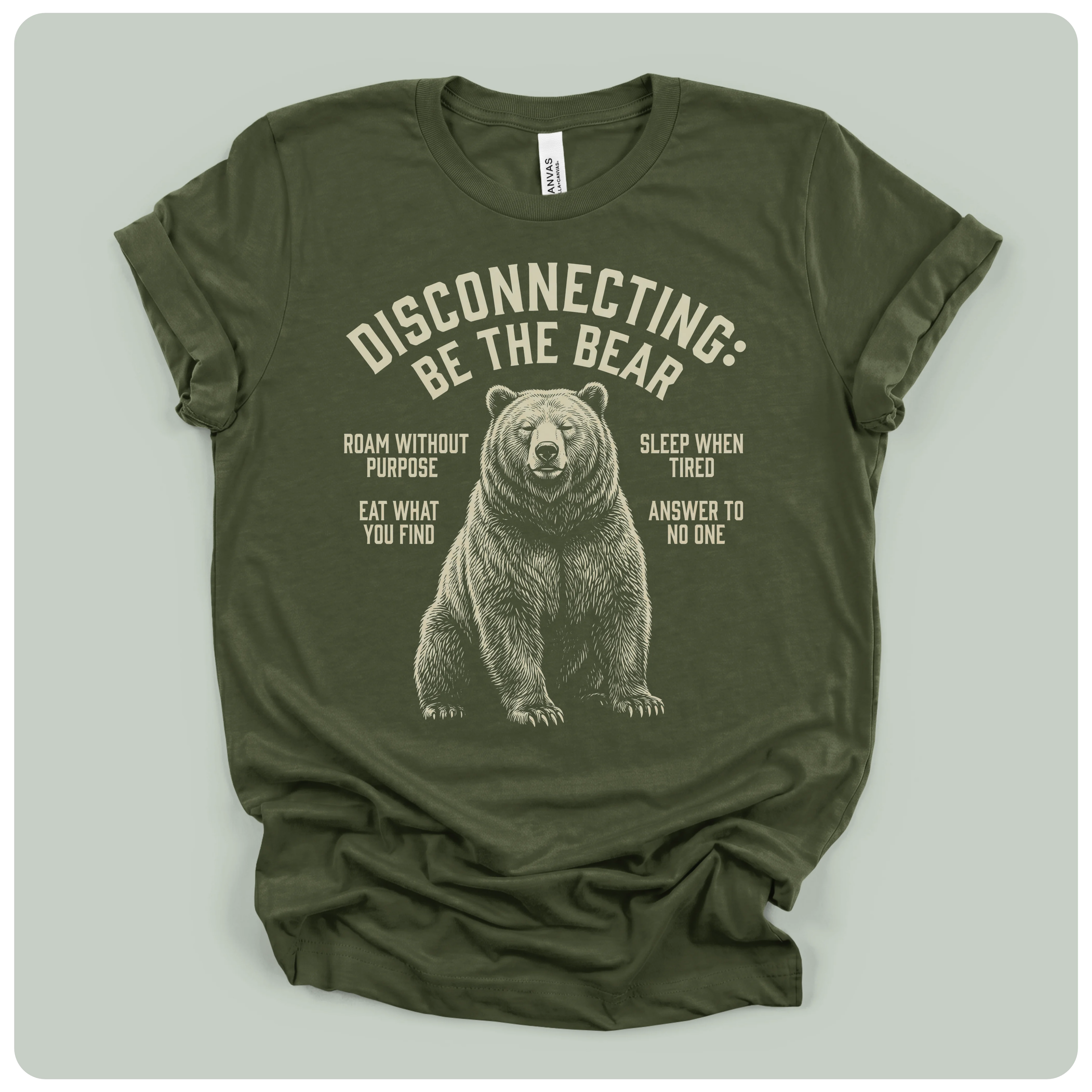 Disconnecting Be The Bear