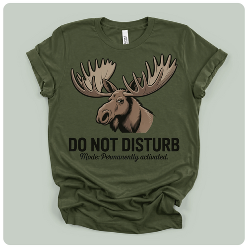 Do Not Disturb