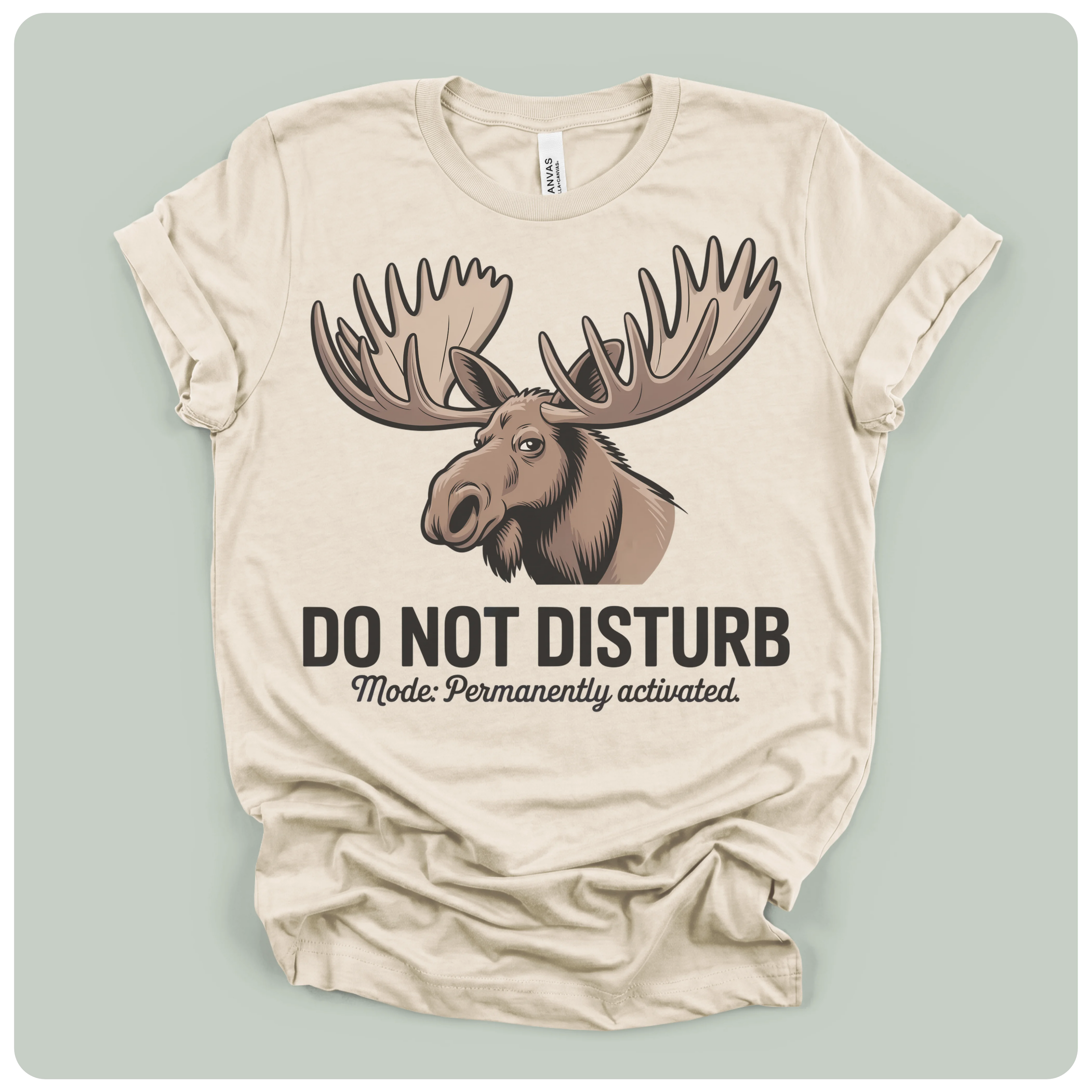 Do Not Disturb