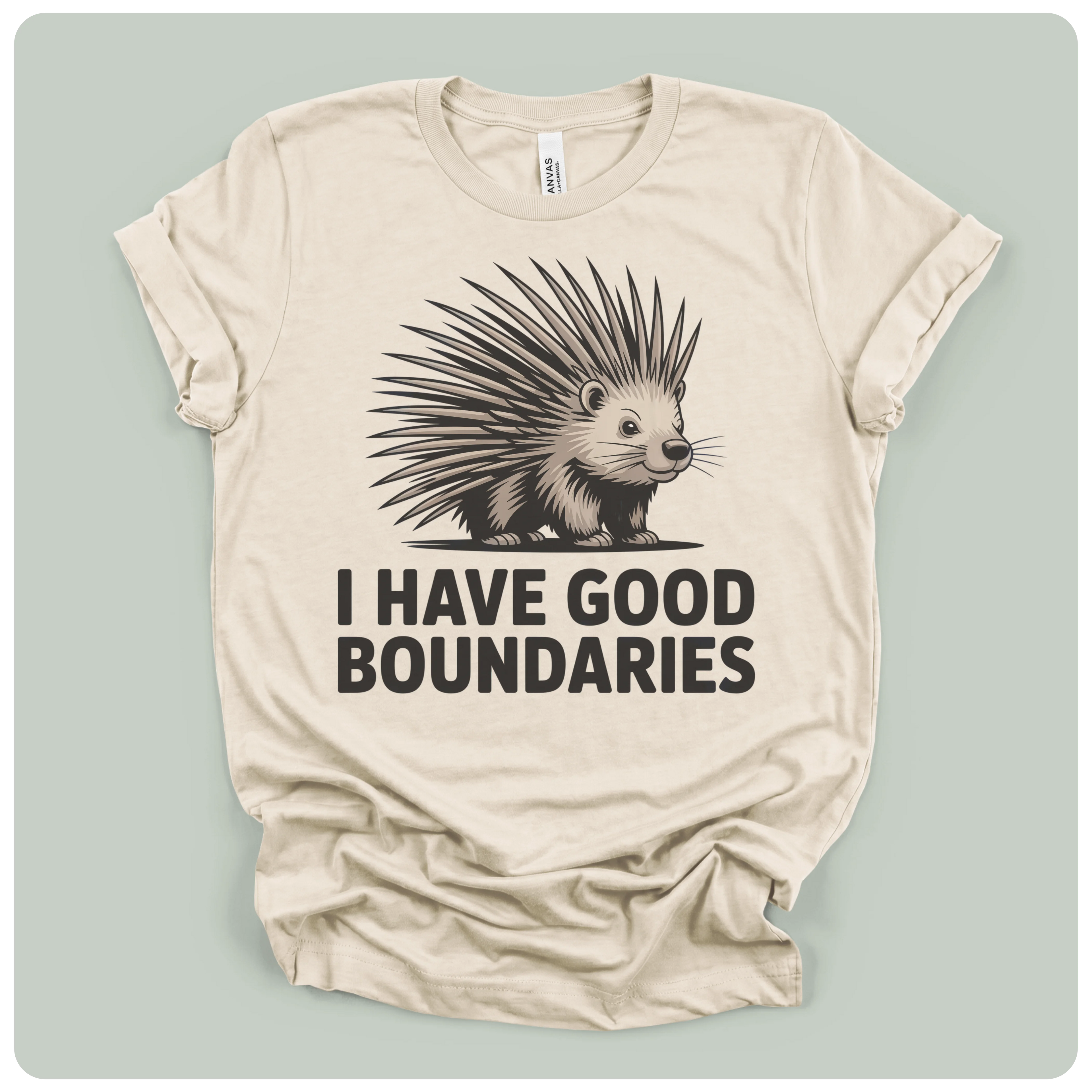 I Have Good Boundaries