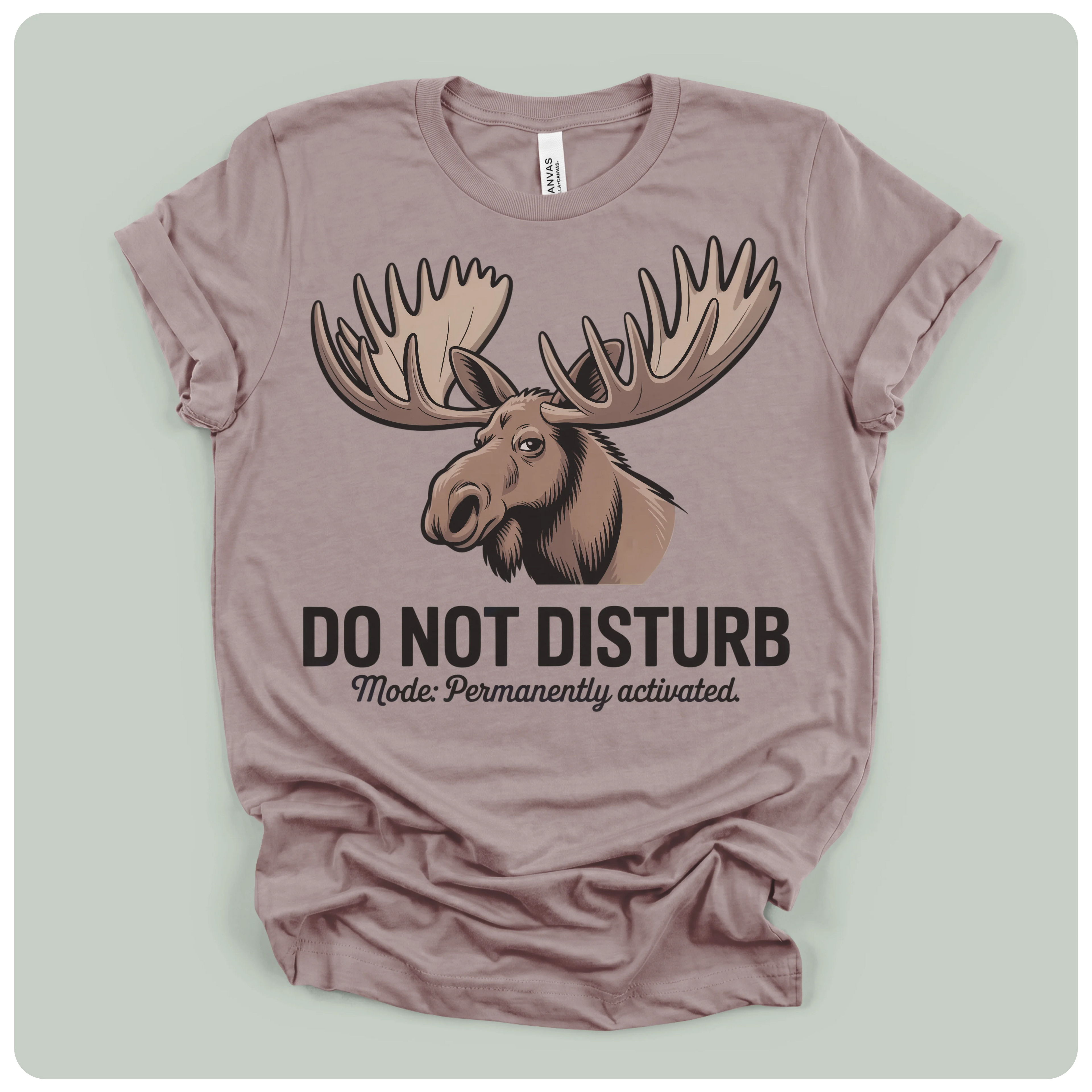 Do Not Disturb