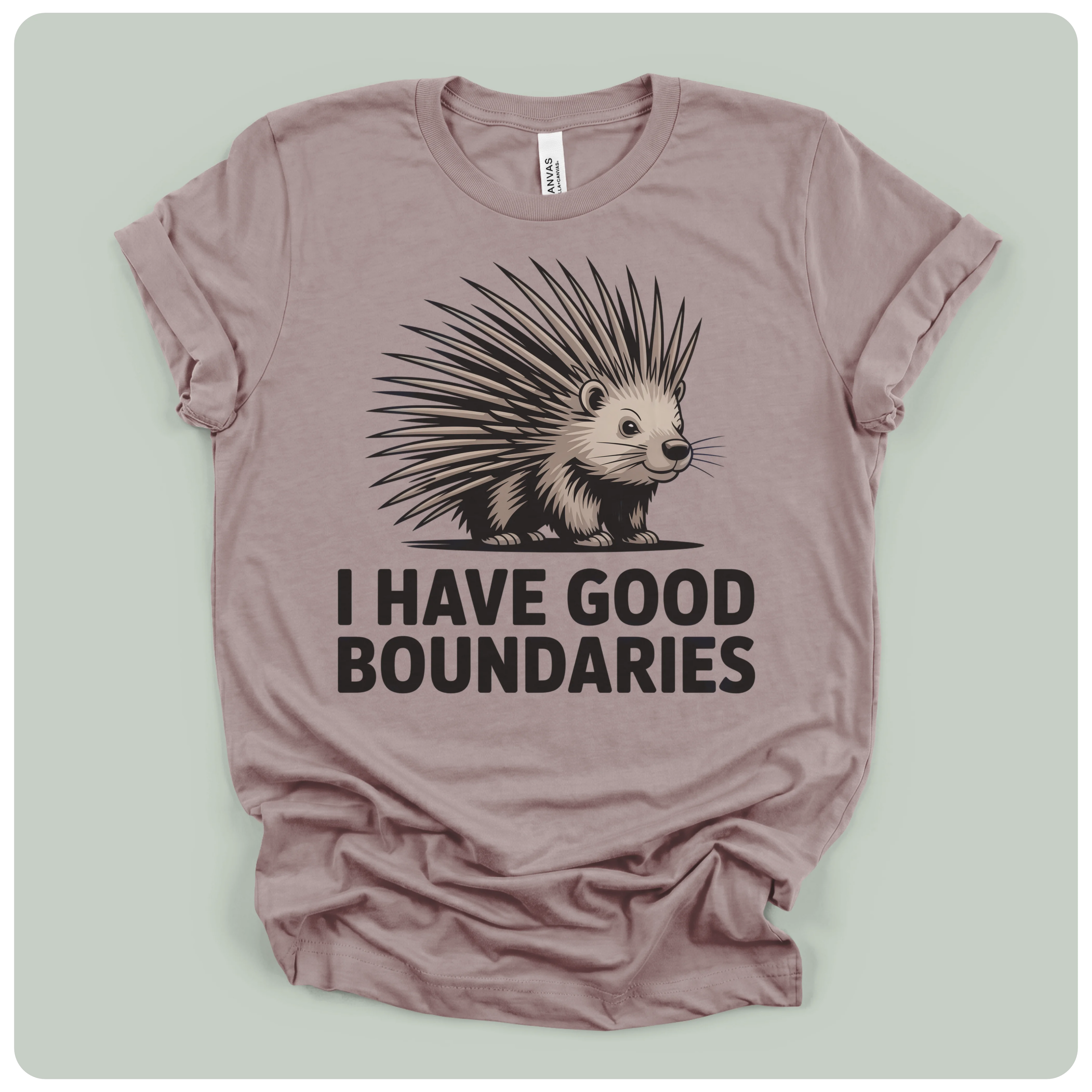 I Have Good Boundaries