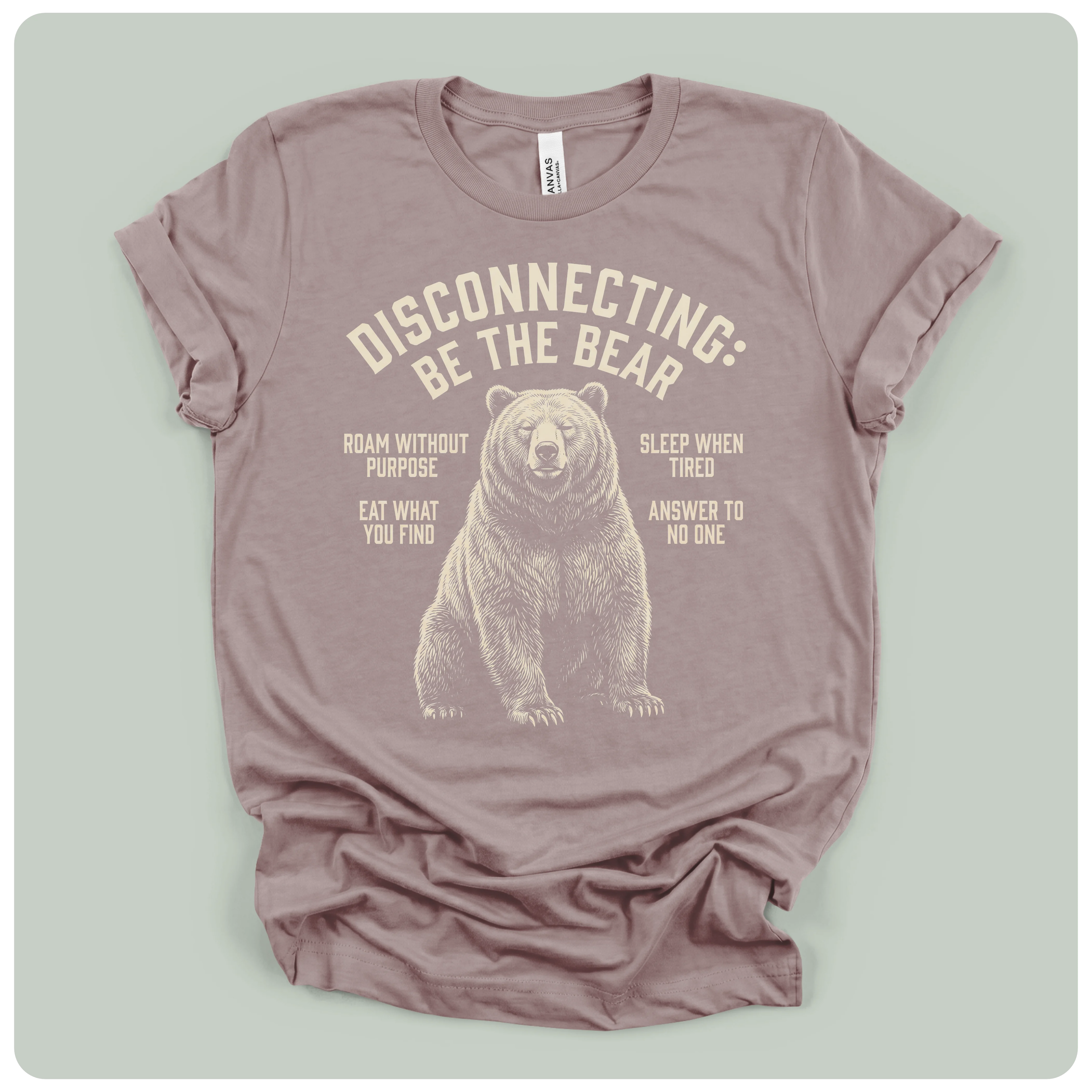 Disconnecting Be The Bear