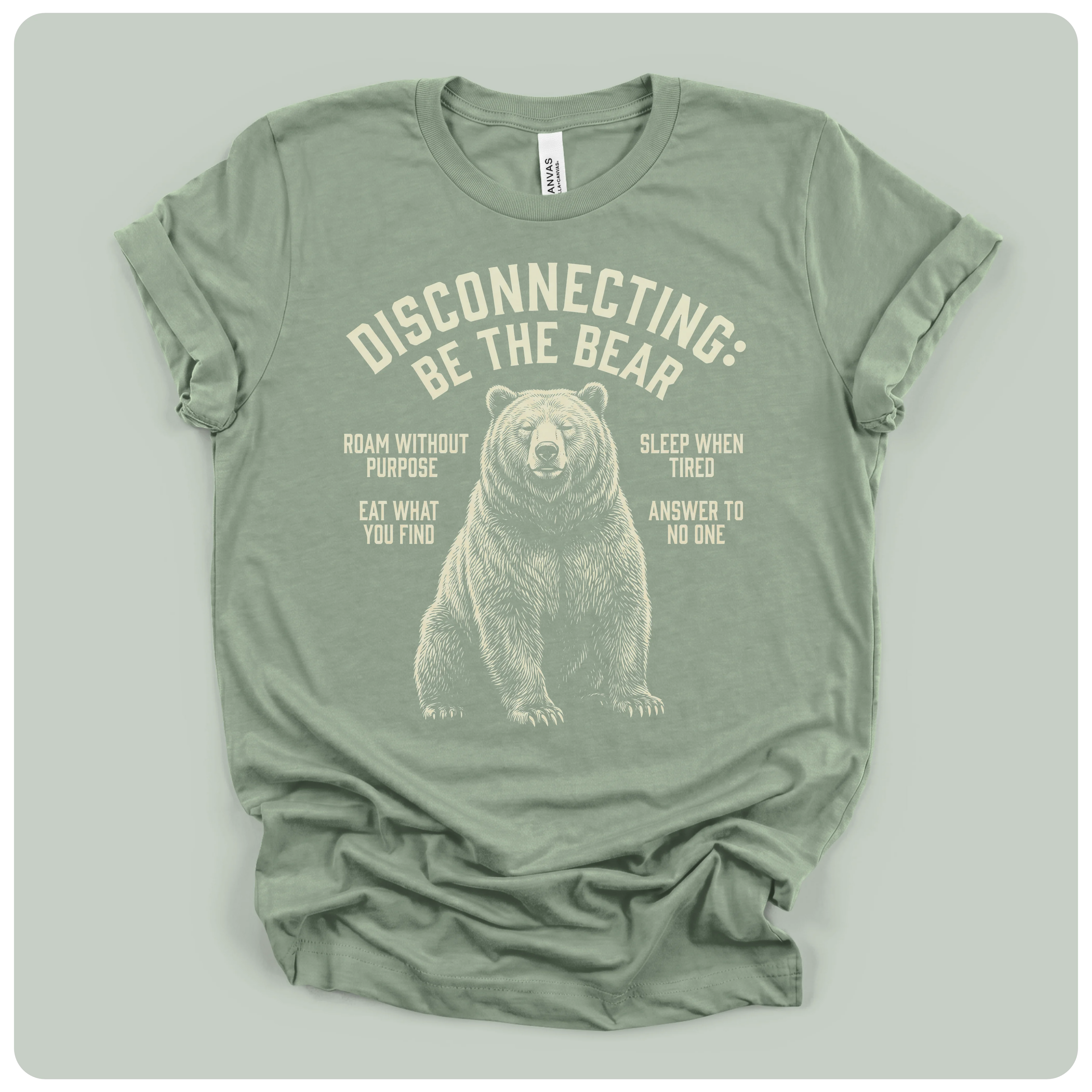 Disconnecting Be The Bear