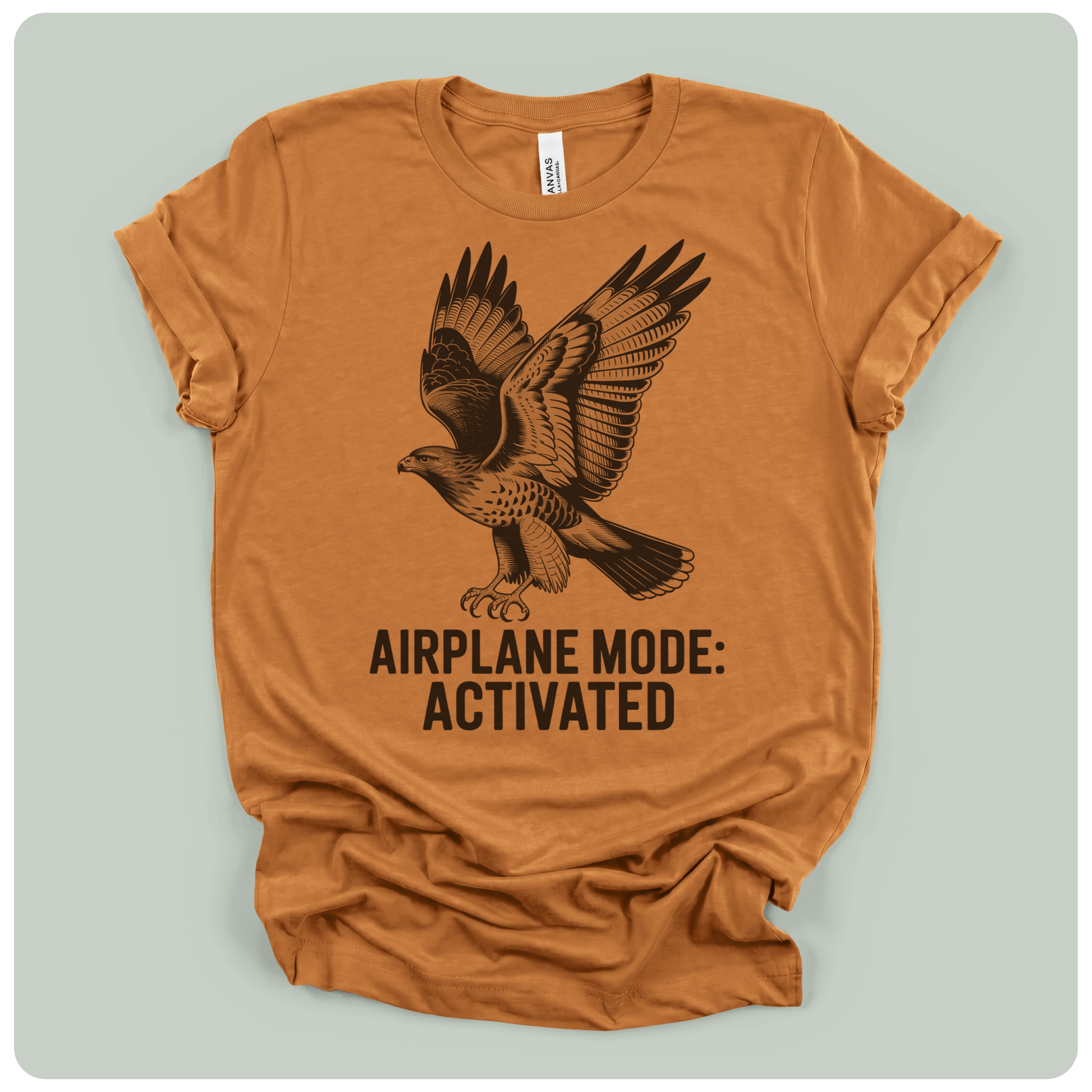 Airplane Mode