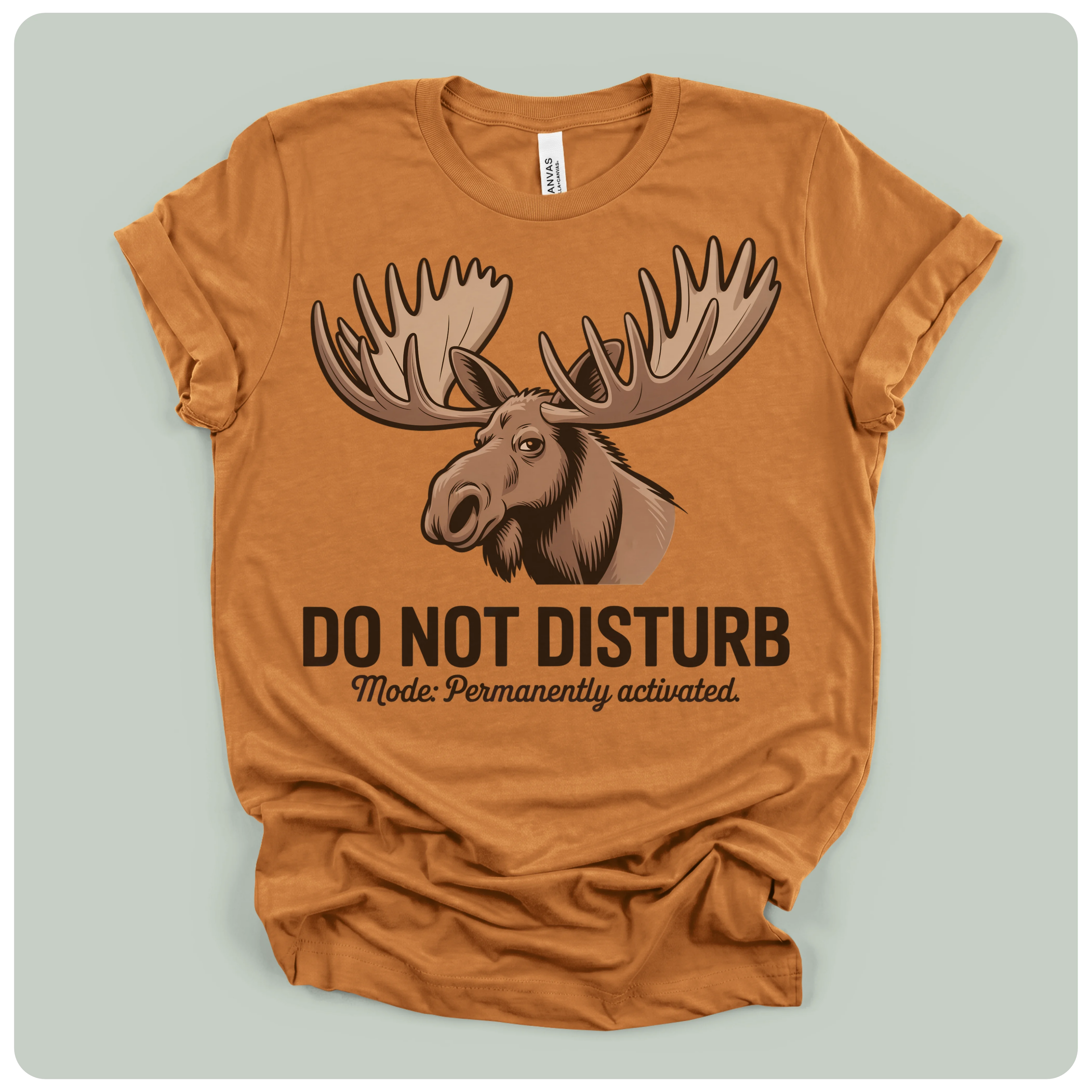 Do Not Disturb