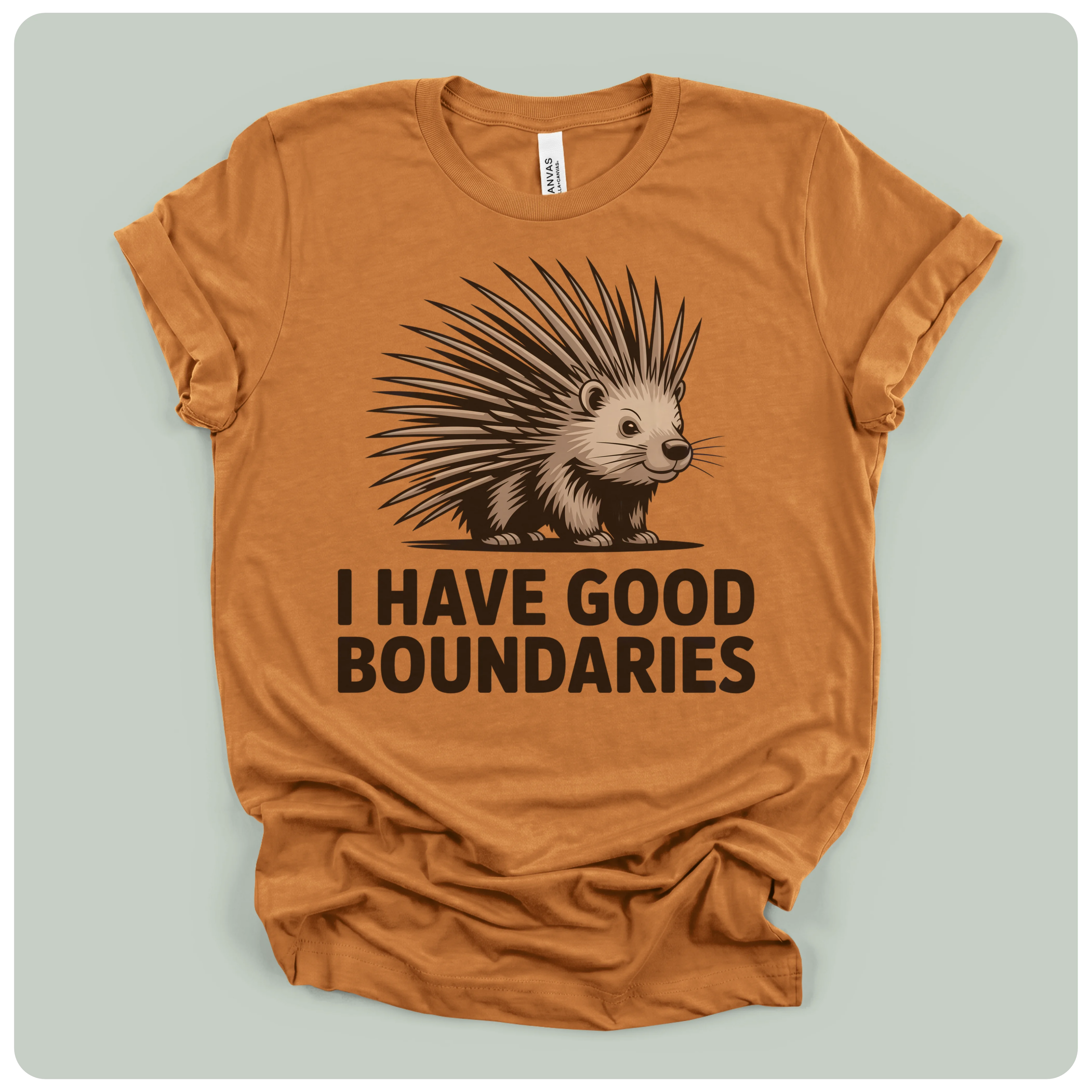 I Have Good Boundaries