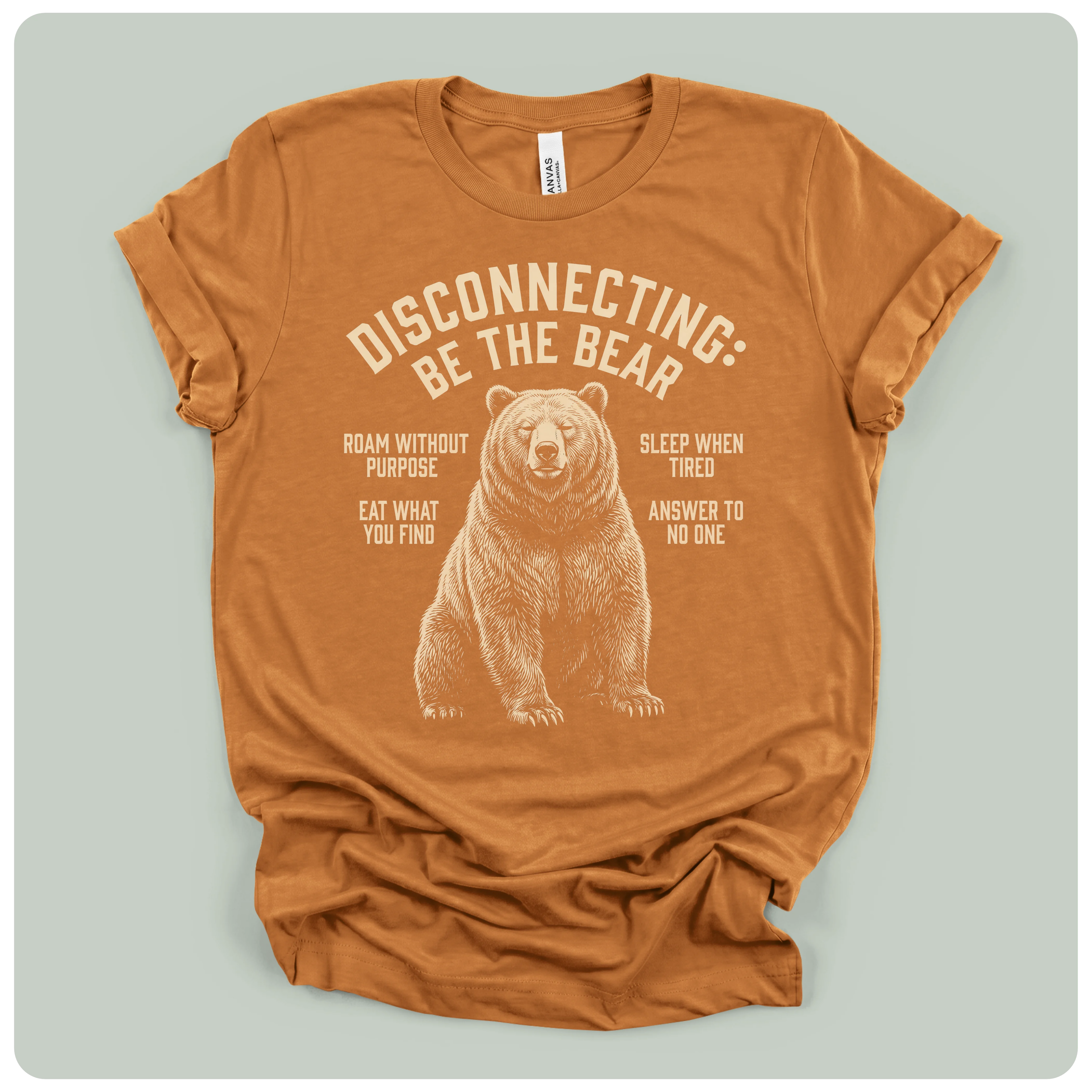 Disconnecting Be The Bear